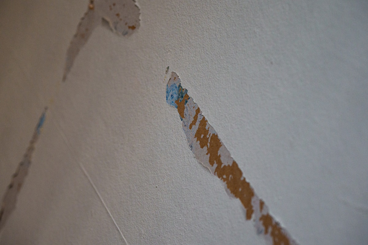 Commercial Water Damage service in Whittier, CA
